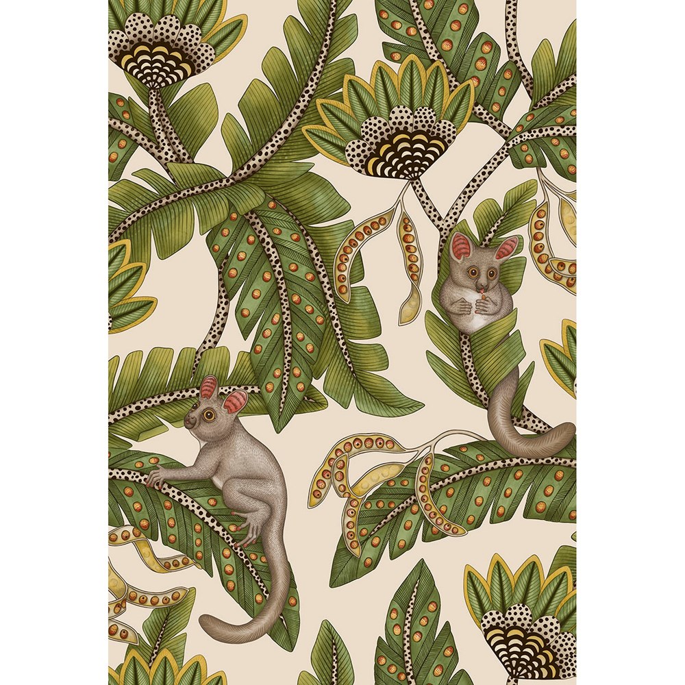 Bush Baby Wallpaper 119 7032 by Cole & Son in Spring Green